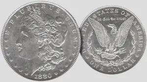 A one-dollar coin